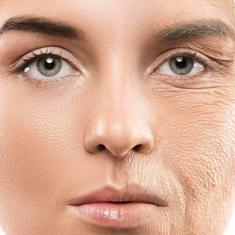 The difference between collagen and collagen peptides